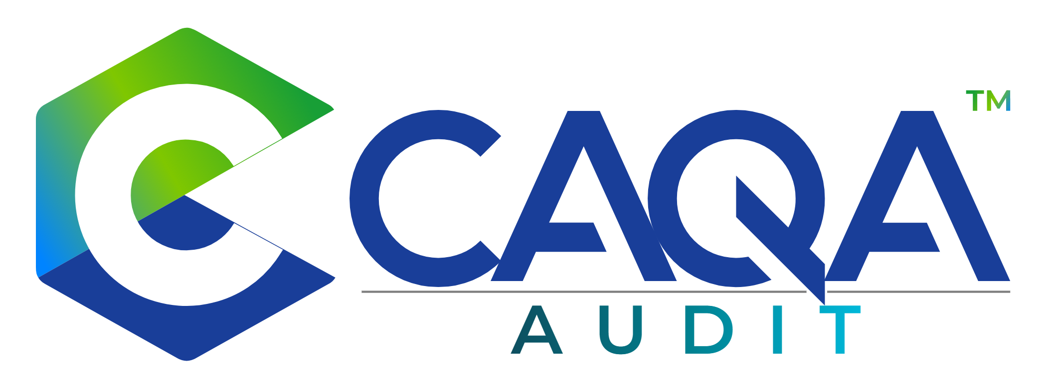 CAQA Audit logo